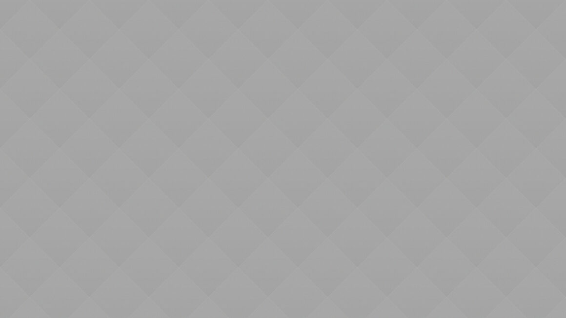 The Dutch painter Vermeer